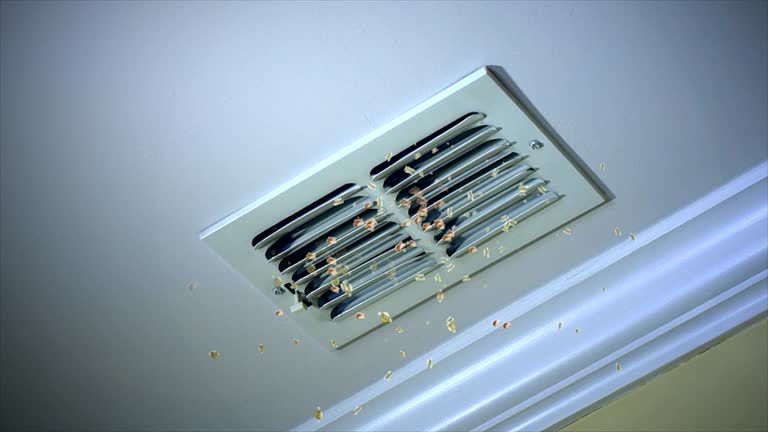 Best Local Air Duct Cleaning Services  in Assumption, IL