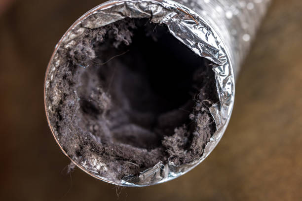 Best HVAC Duct Inspection Services  in Assumption, IL