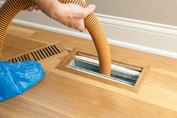 Best Air Vent Cleaning Services  in Assumption, IL