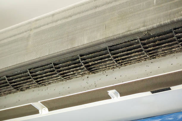 Best Affordable Duct Cleaning Services  in Assumption, IL