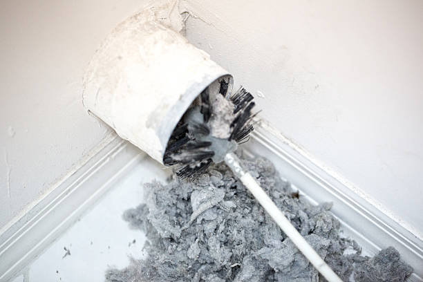 Best Emergency Air Duct Cleaning  in Assumption, IL